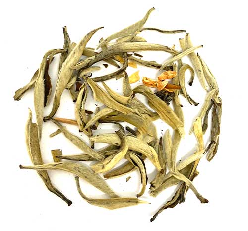 Image of Jasmine Silver Needle