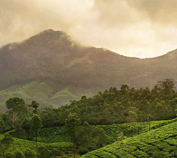 Image for A Creed For Every Moment of Your Life